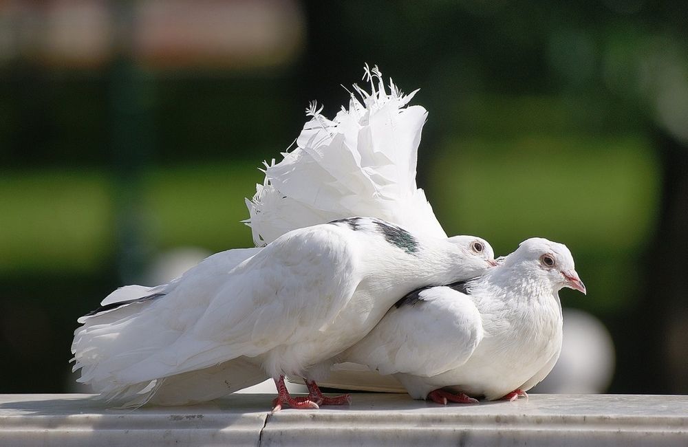 Photograph by Леонид Владимирович