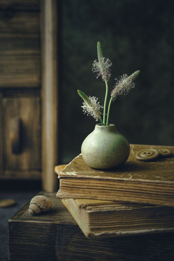 Photograph by Ольга Вороная