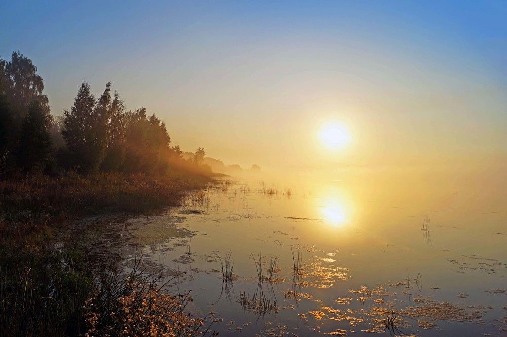 Photograph by Мишустина Татьяна