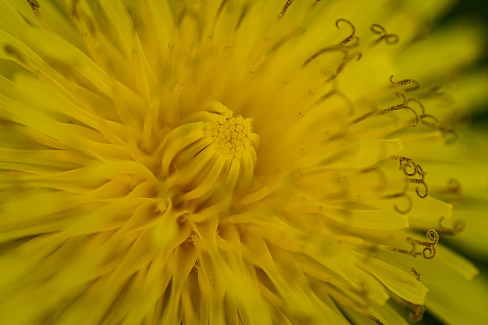 Photograph by Елена Берсенёва