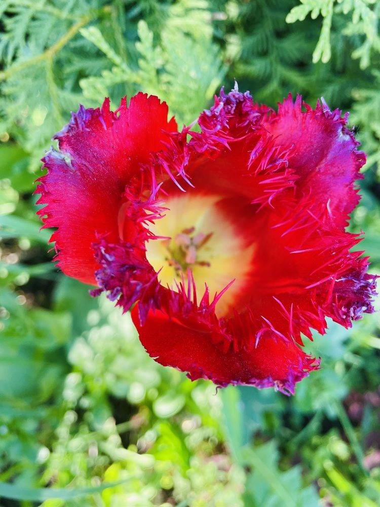 Photograph by Лариса