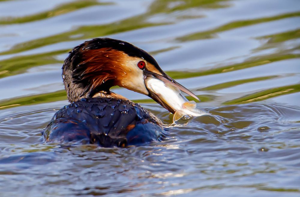 Photograph by Волынский Виктор