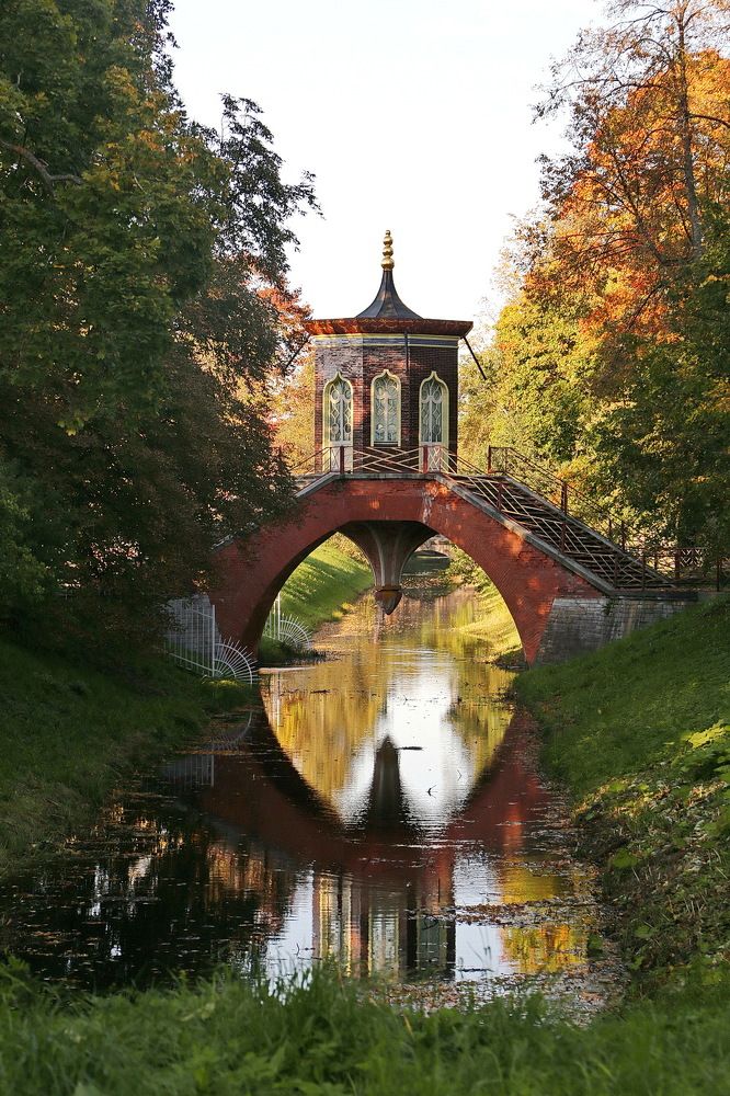 Фотография автора Александр Челмодеев