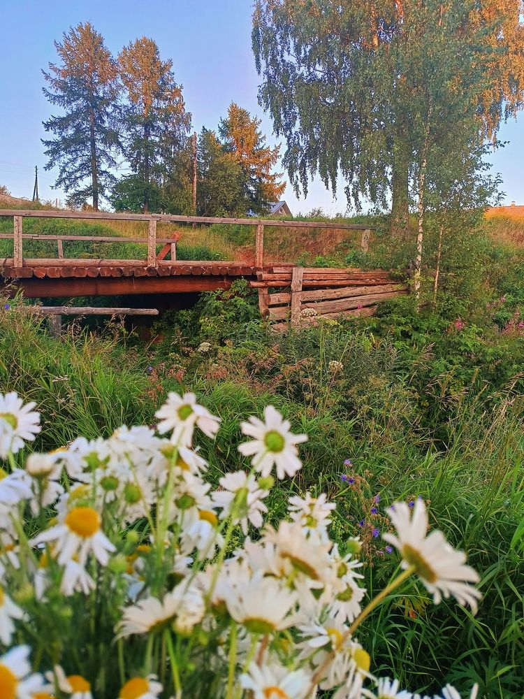 Photograph by Татьяна Бешенкина