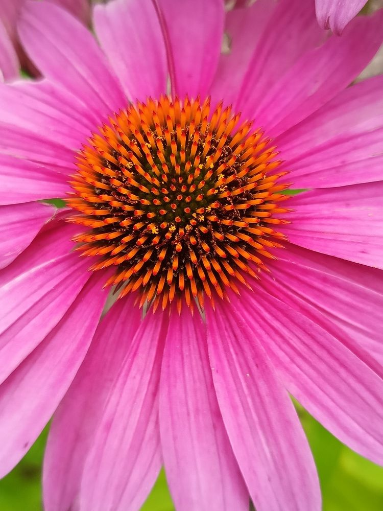 Photograph by Галина Смирнова