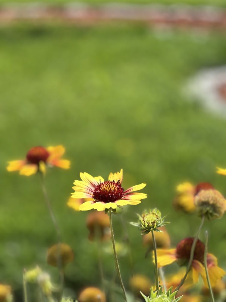 Photograph by Ирина Соколова