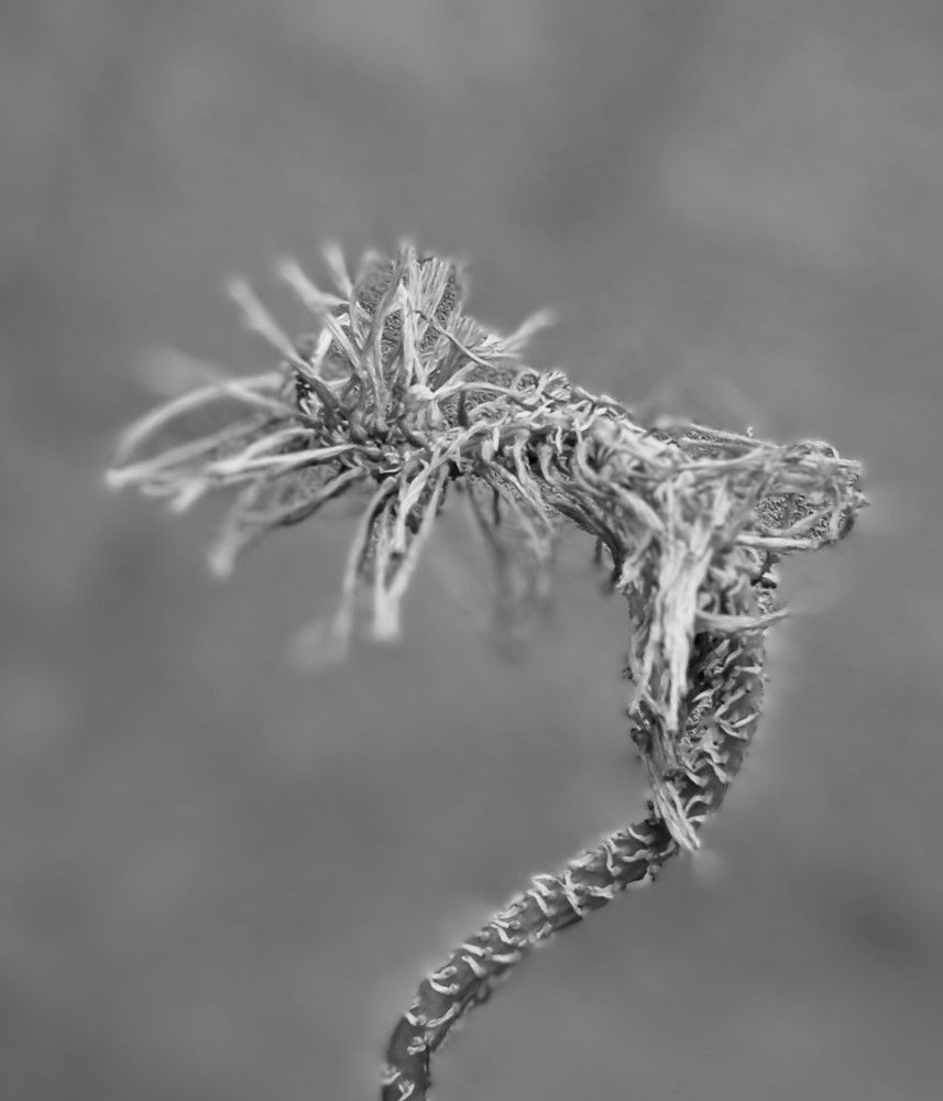 Фотография автора Hormat Alakbarova