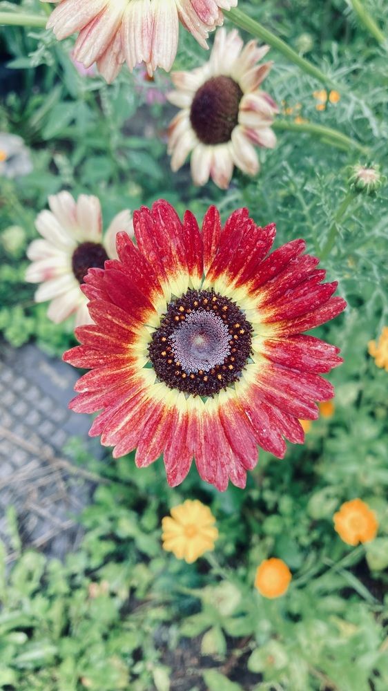 Photograph by Аркадий Каллистов