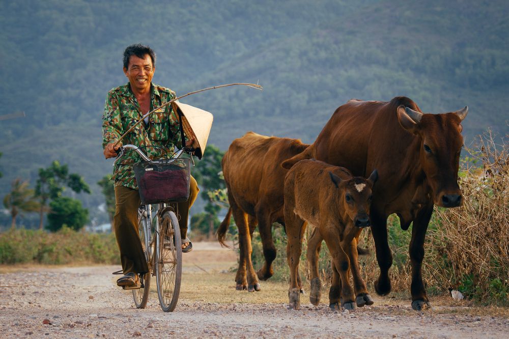 Фотография автора Pham Anh Vu