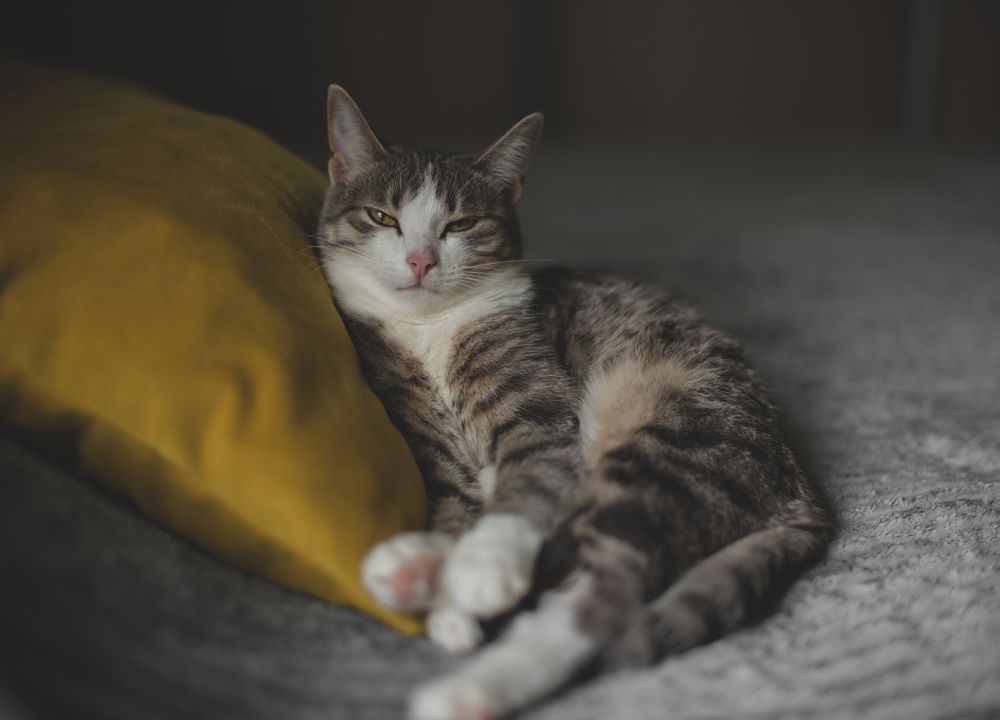 Photograph by Галина Еровенко