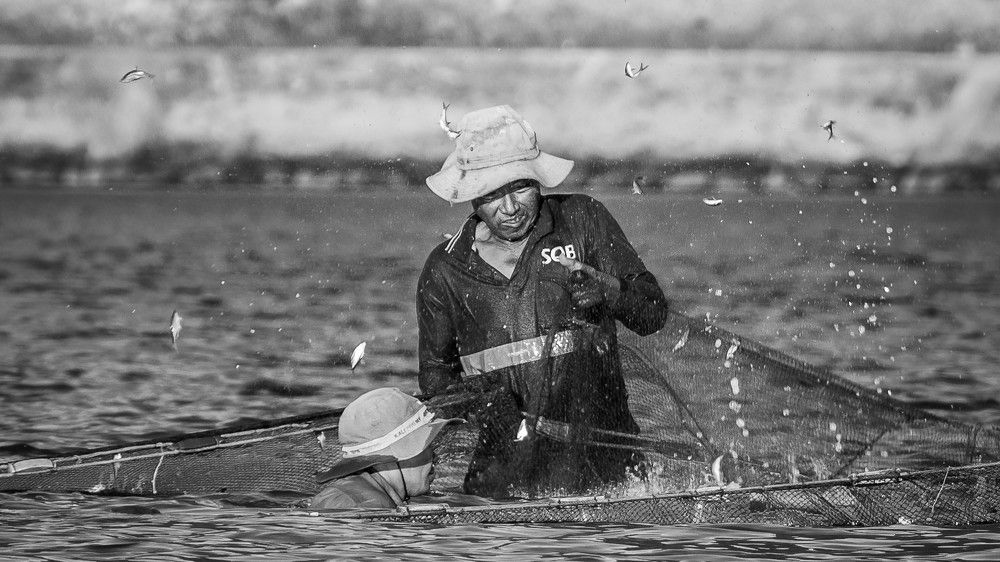 Фотография автора Pham Anh Vu