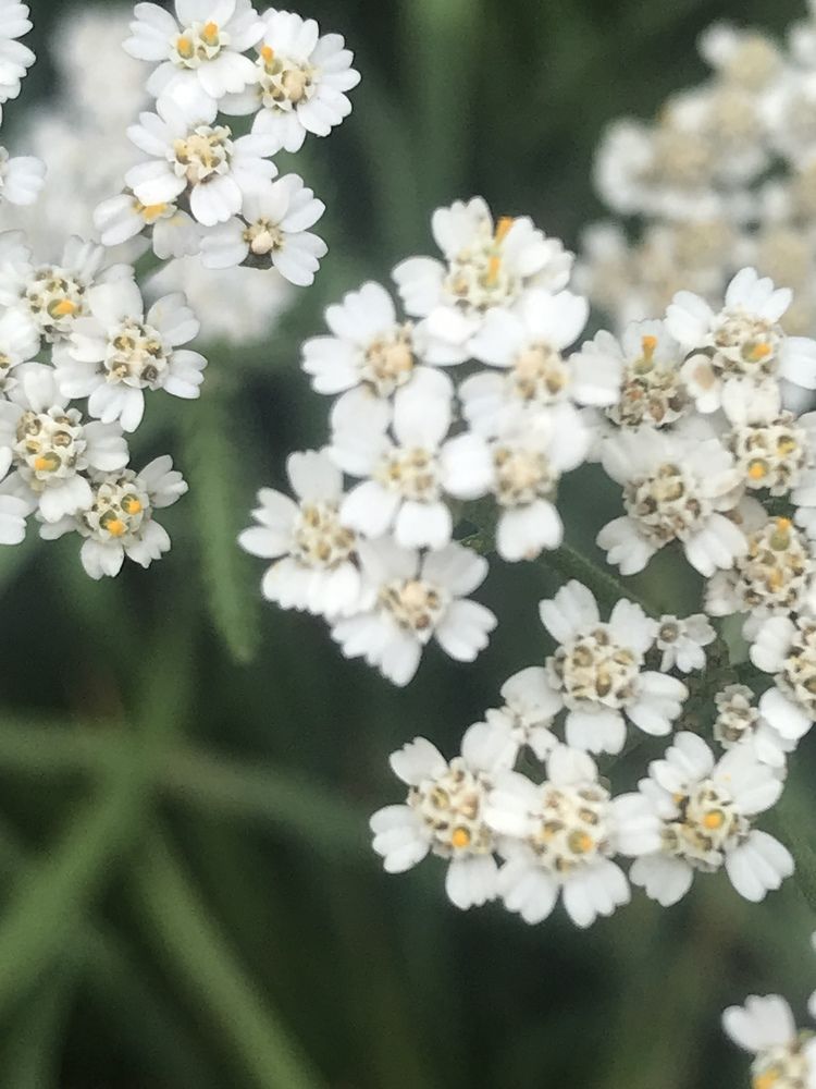 Photograph by Татьяна Гуськова