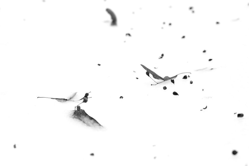 Фотография автора Колосова Елена