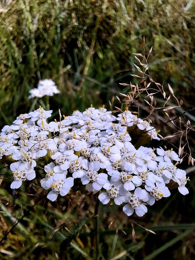 Photograph by Алина