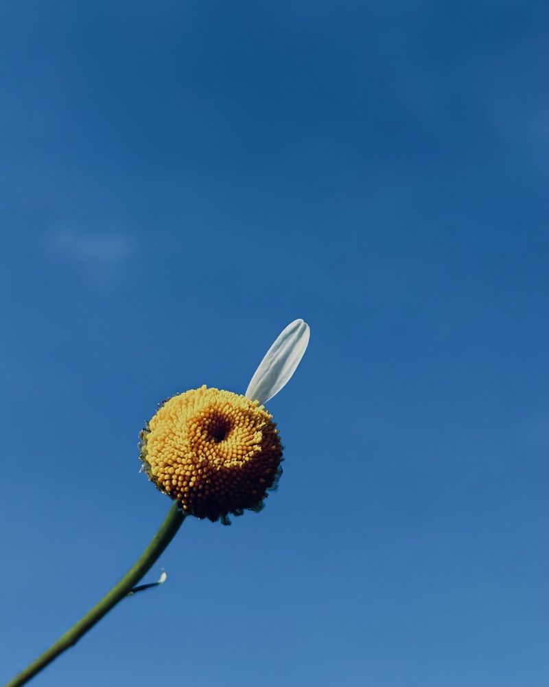 Photograph by Александра Зайниева