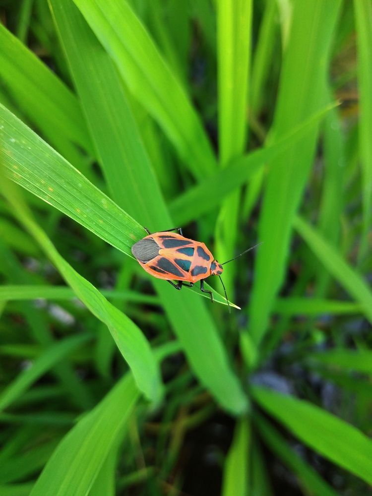 Photograph by DILEKSHAN S HHT KS