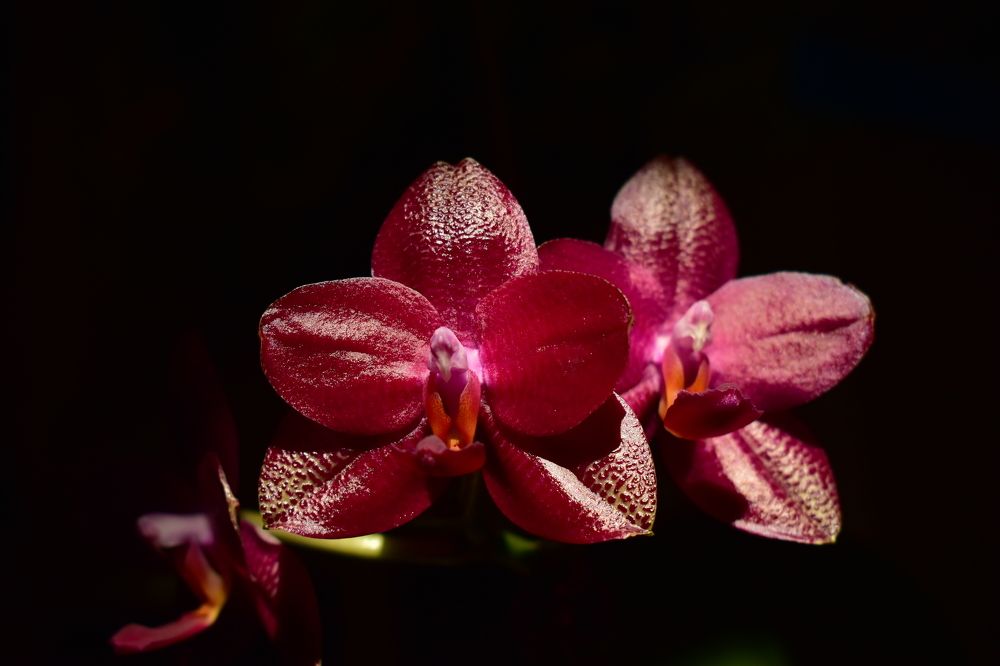 Фотография автора Наталья Сероглазова