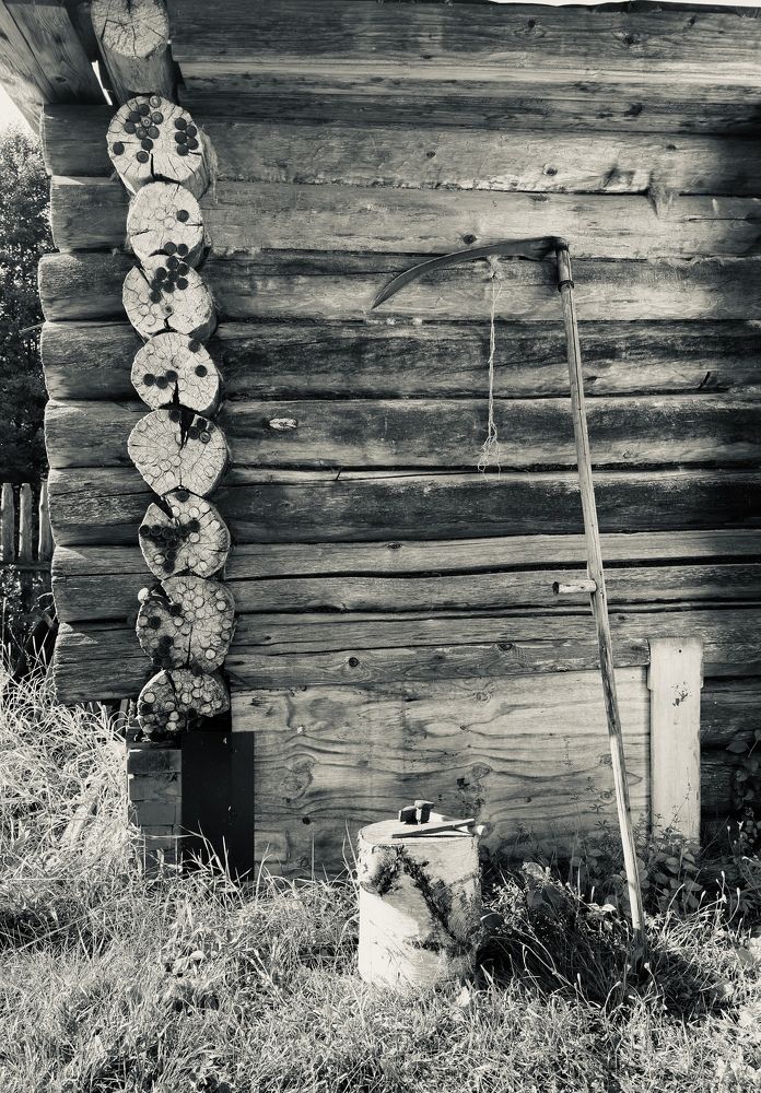 Photograph by Kuzmichev Alexey