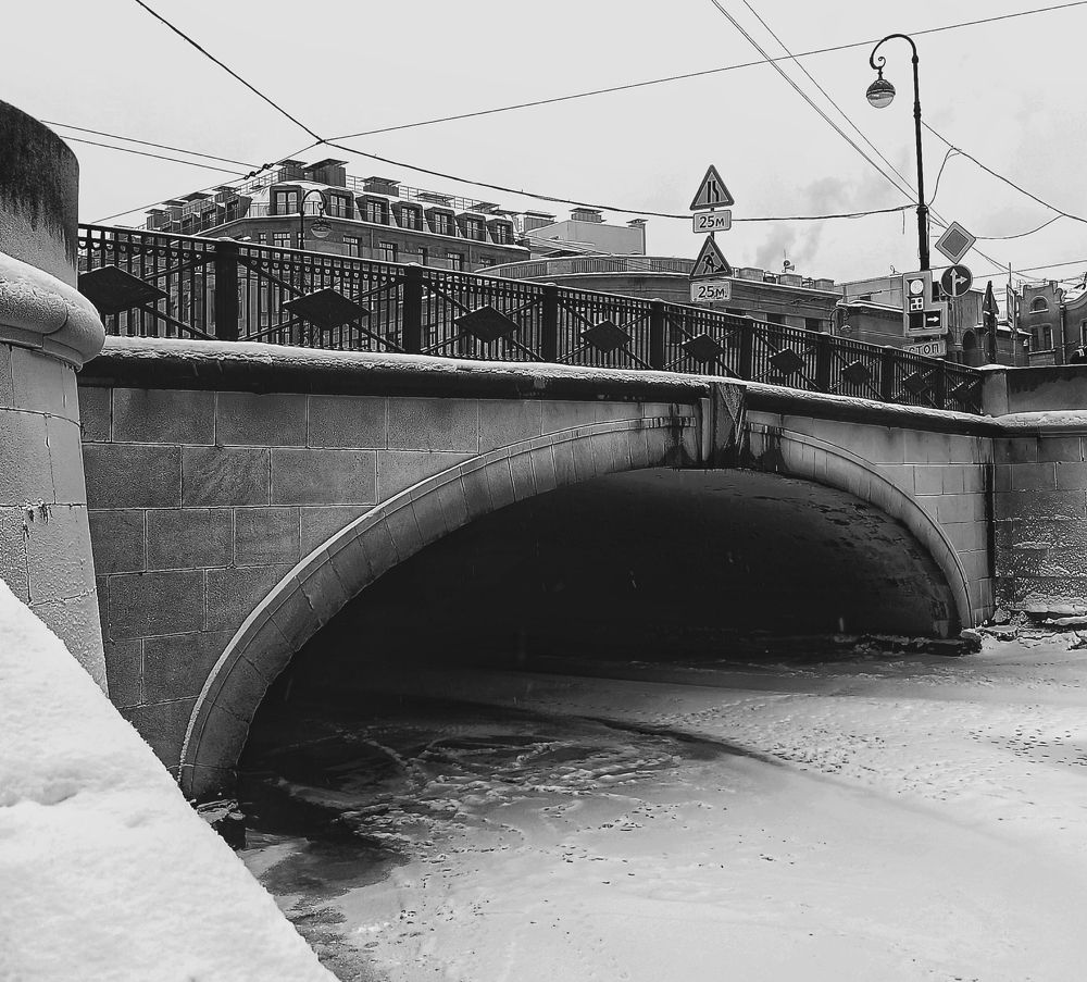Силин мост через реку Карповку в Санкт-Петербурге.