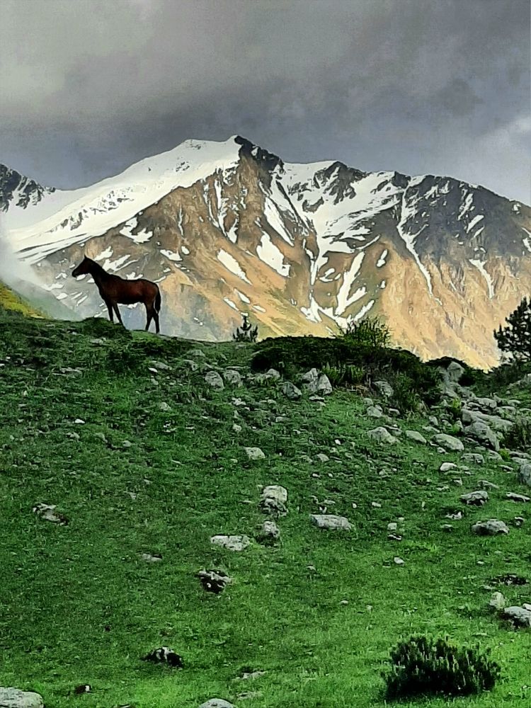 Фотография автора Наталья