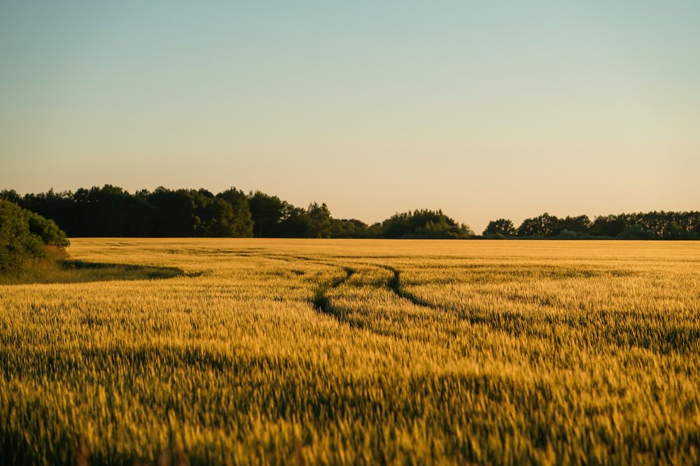 Photograph by Ирина Куляшова