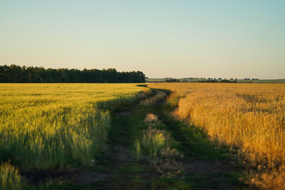 Photograph by Ирина Куляшова