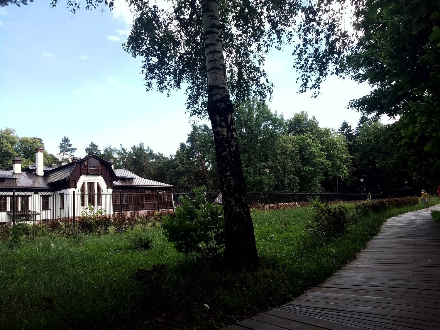 Photo #10917782