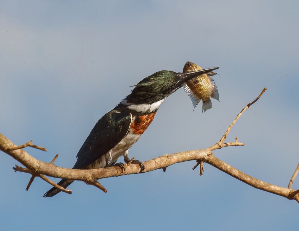 Photograph by Valdir Hobus