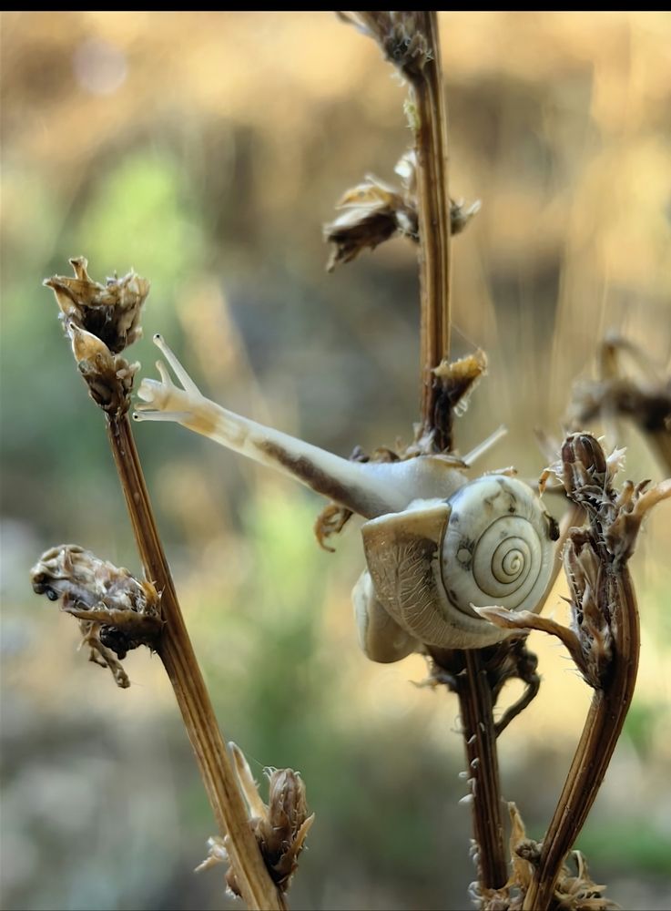 Photograph by Ирина Тихая