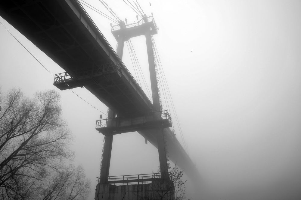 Фотография автора Колосова Елена