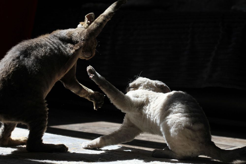 Photograph by Татьяна Федченко