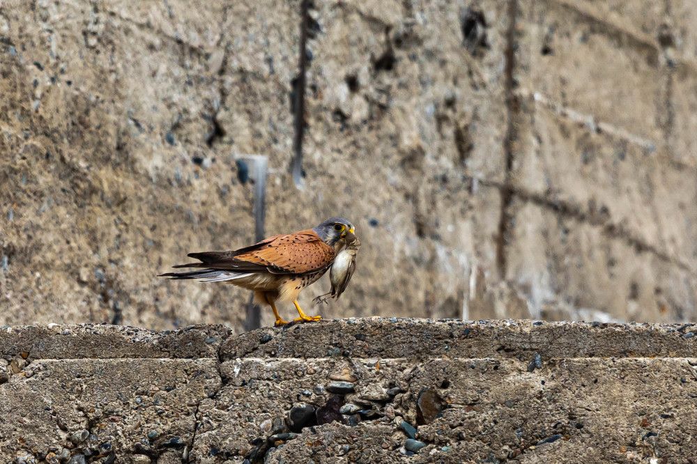 Photograph by Андрей Панов