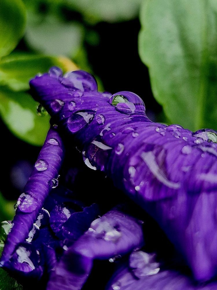 Фотография автора Maryna Pytliak