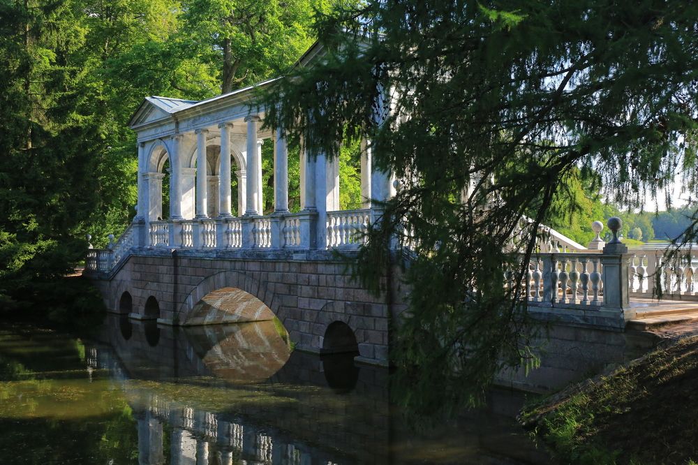 Photograph by Николай Бакулин