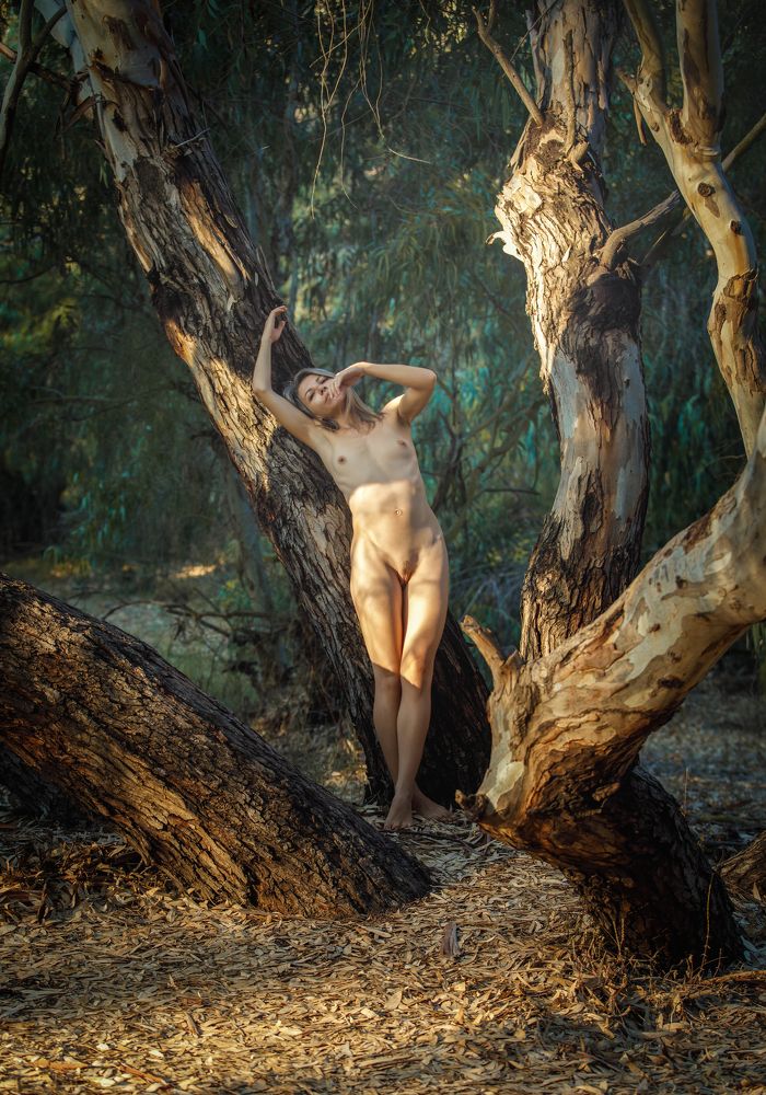 Фотография автора Dmitry Shterenberg