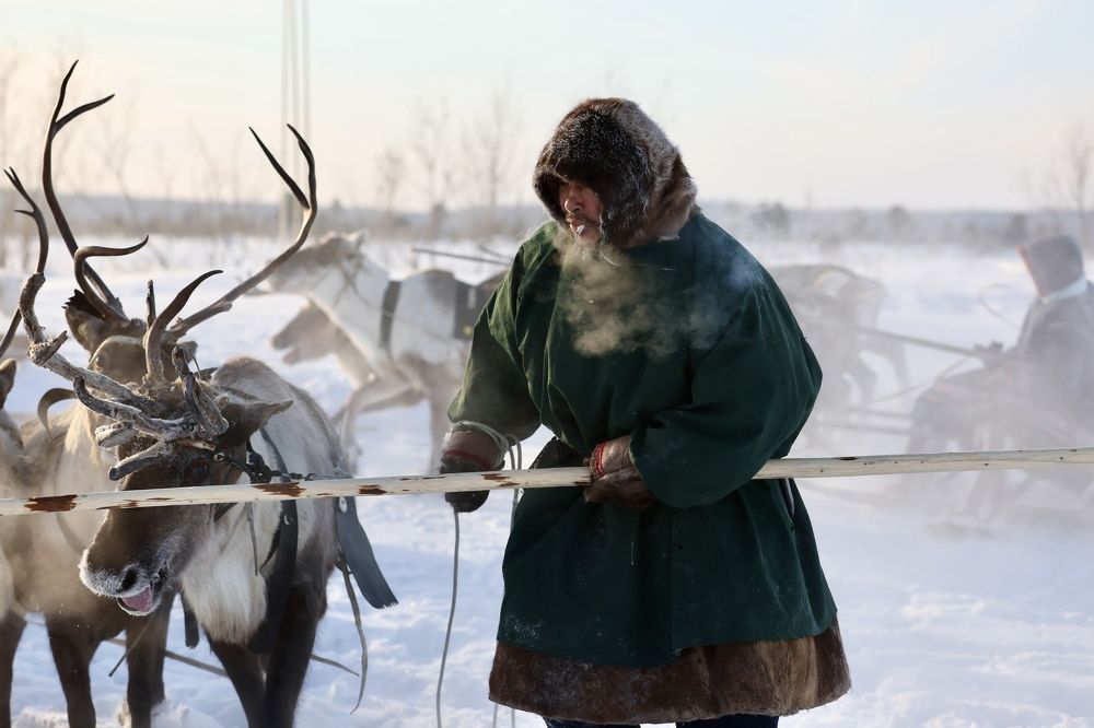 Фотография автора Леонид Голубков