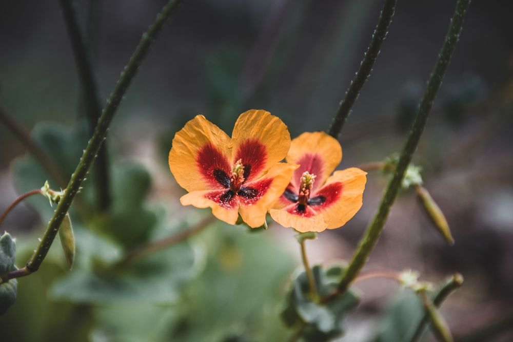 Фотография автора Кристина Шефер