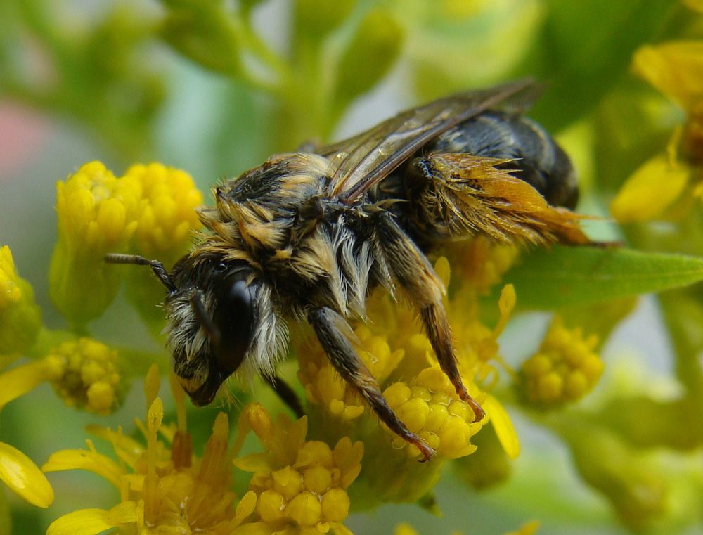 Фотография автора Павел Попов