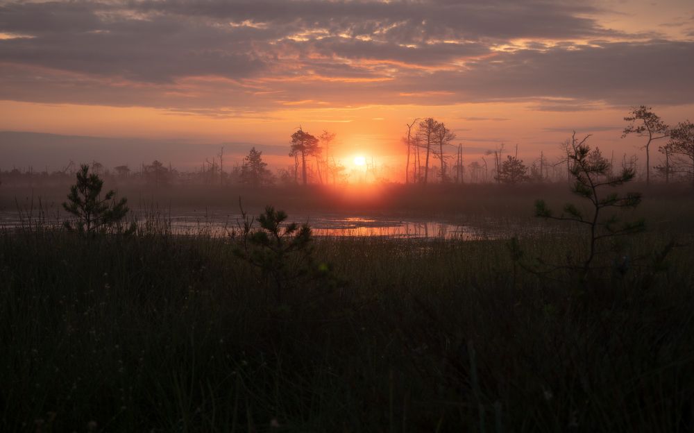 Фотография автора Врубель Андрей