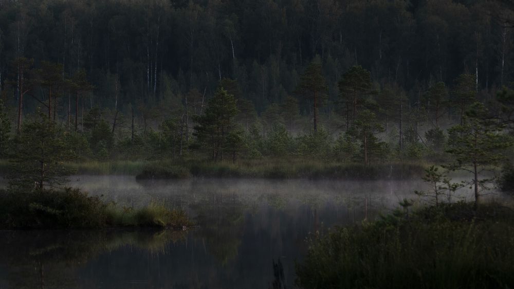 Фотография автора Врубель Андрей
