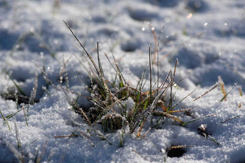 Photograph by Кристина