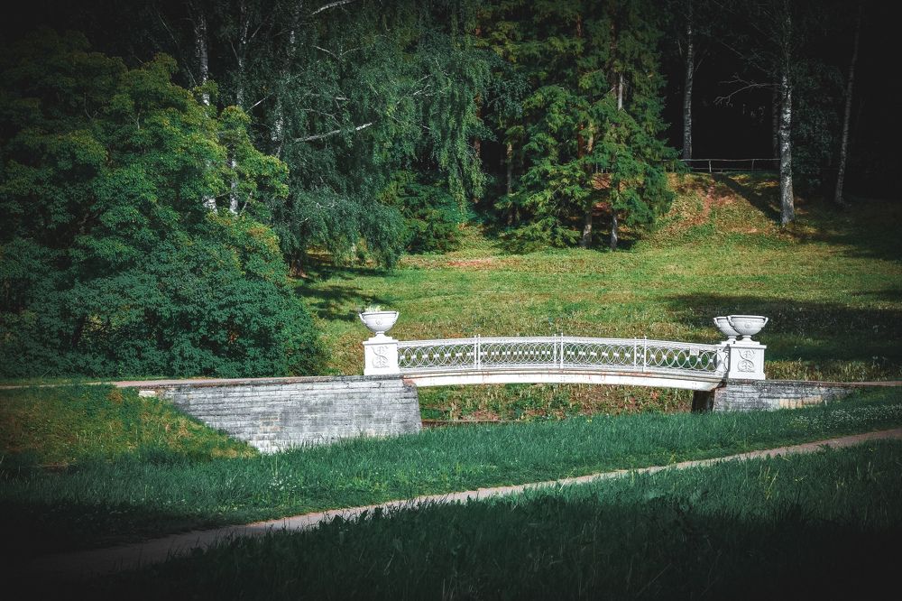 Фотография автора Кристина Шефер