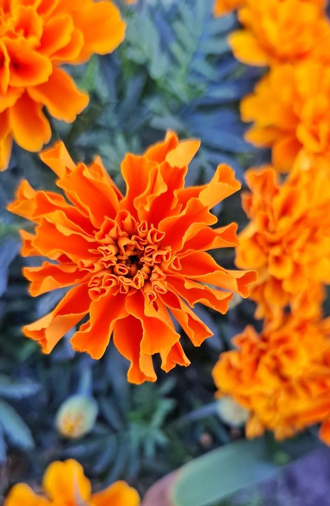 Photograph by Мария Андреева