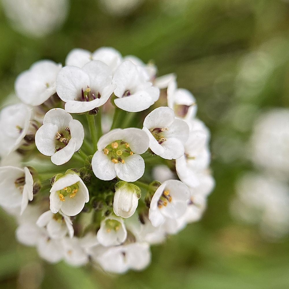 Photograph by Любовь Козлова