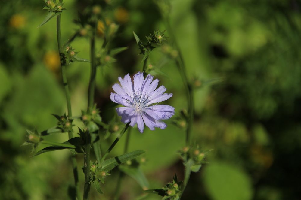 Photograph by Екатерина Филатова