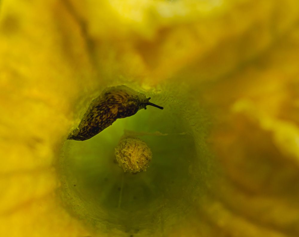 Photograph by Алексей Широбоков