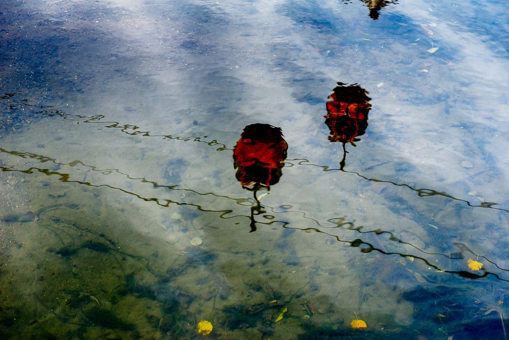 Photograph by Юлия Исковских