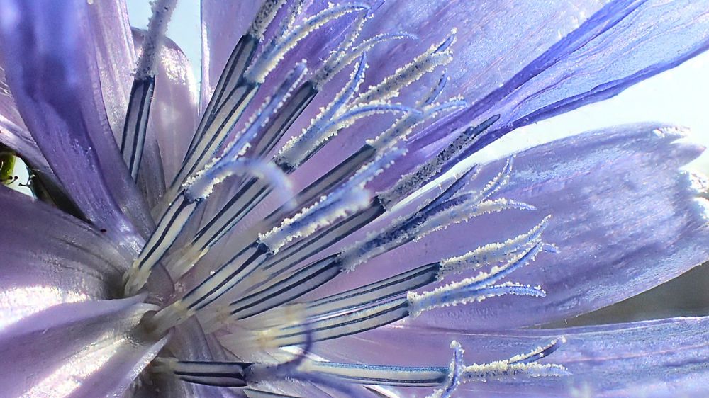 В гармонии с небом.