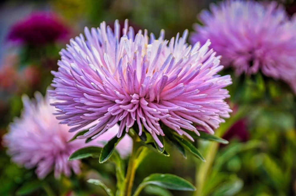 Photograph by Елена Малютина