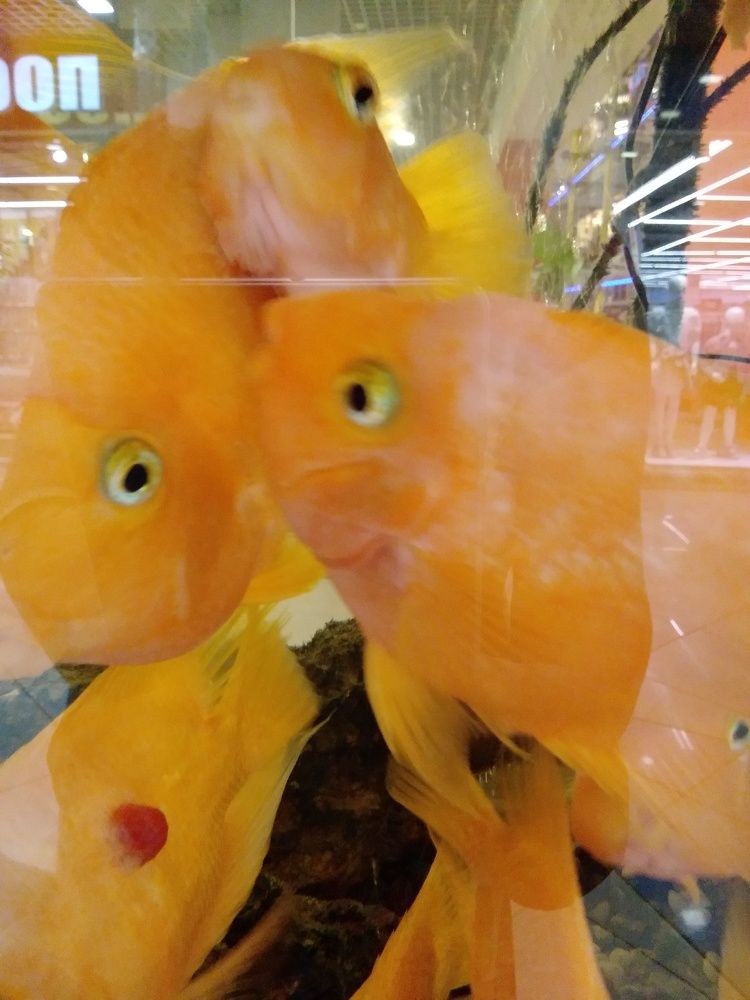 Photograph by Марта Васильева